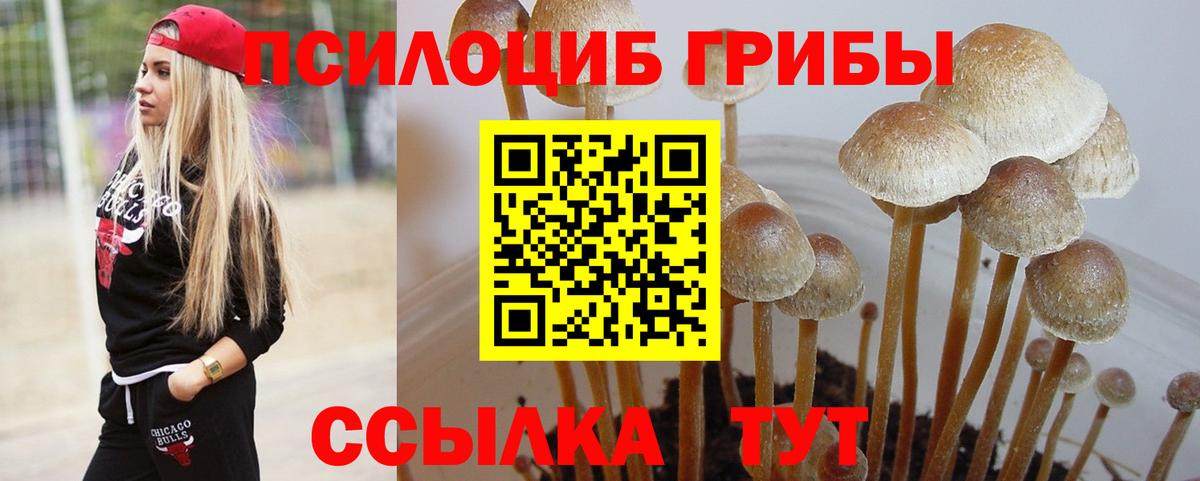 Красноярск  Галлюциногенные грибы ЛСД  сколько стоит  Вход с VPN  Галлюциногенные грибы ЛСД 