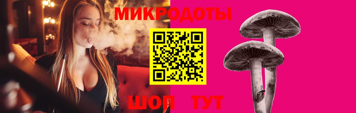 Галлюциногенные грибы Psilocybine cubensis Красноярск